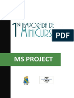 Ms Project