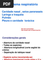 Sistema respiratorio patologia