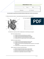 Teste 3 - Circulatorio PDF