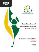 Caderno Becn Aluno 2015