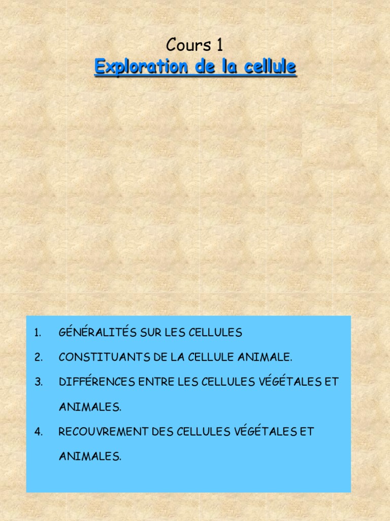 Constituants de la cellule animale | PDF | Cytoplasme | Noyau (biologie)