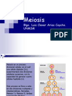 Intro Meiosis