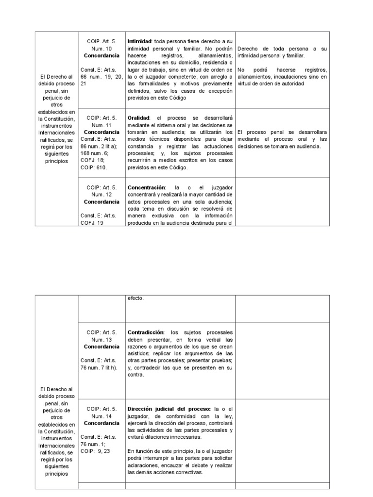 Principios Del Coip Derecho Procesal Penal | PDF | Ley procesal ...