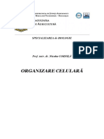 295133689-Organizare-Celulara