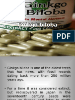 Ginkgo Biloba: One of the Oldest Trees on Earth