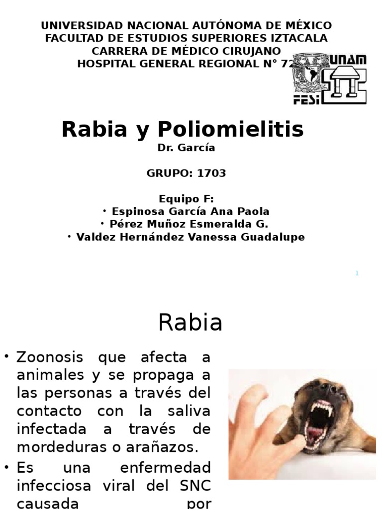 Rabia y Polio | PDF | Rabia | Poliomielitis