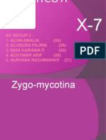 ZYGOMYCOTINA