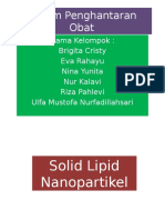 Solid Lipid Nanopartikel 