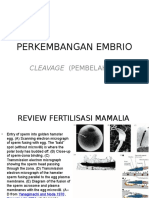 perkembangan-embrio(1)