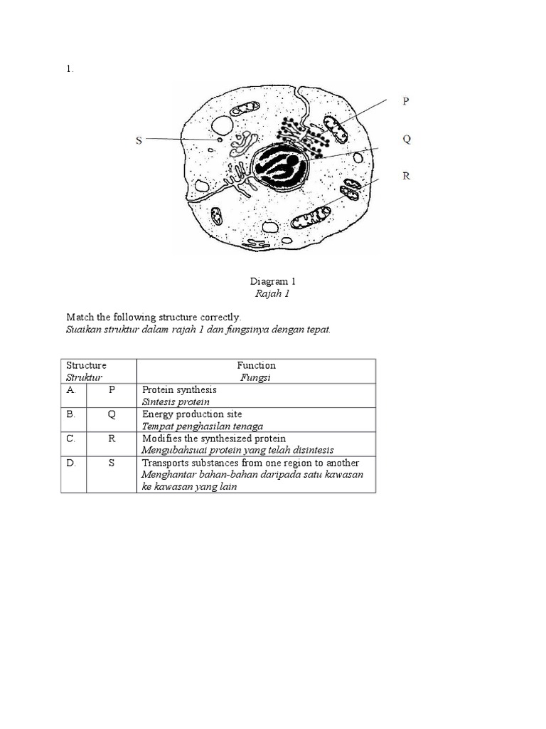 Soalan biologi tingkatan 4 MRSM