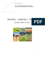 179690405 Politica Agricola Comuna Docx