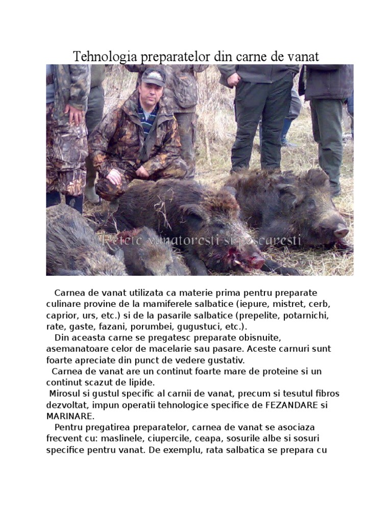 Tehnologia Preparatelor Din Carne de Vanat | PDF