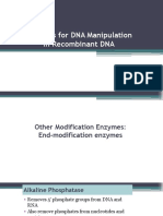 Enzymes For DNA Manipulation in Recombinant DNA