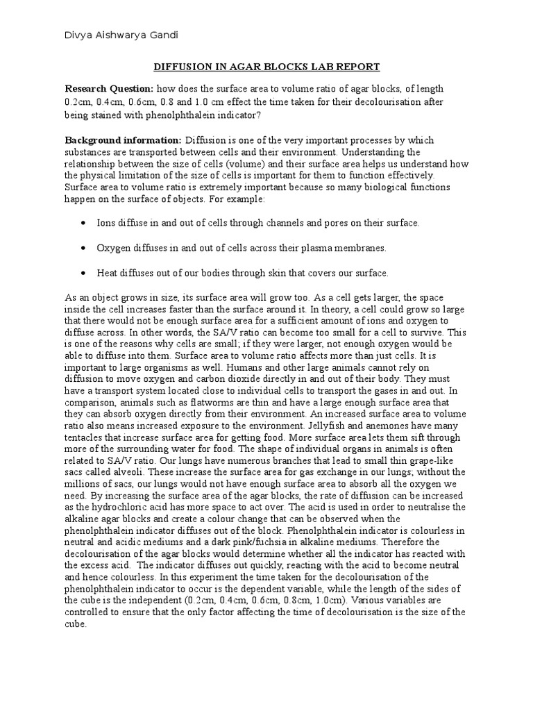 Agar Blocks Lab Report Diffusion Surface Area