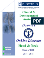 Head and Neck Dissector