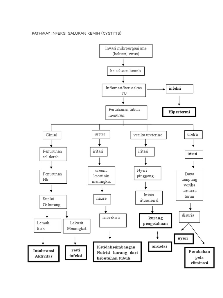 Pathway Cystitis dan Infeksi Saluran Kemih | PDF