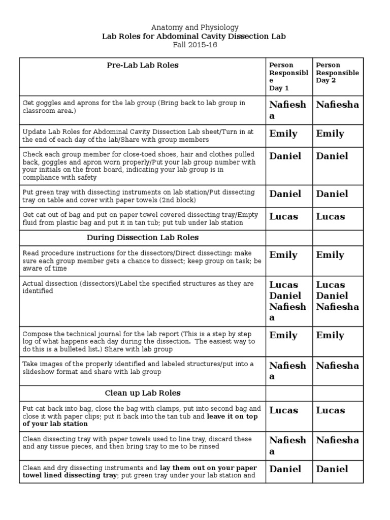Abdominal Cavity Dissection Lab Roles | PDF