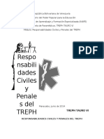 Responsabilidades Penales Del TREPH