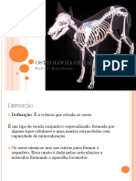 Osteologia PDF