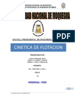 Cinetica de Flotacion