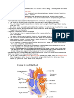 Cardiac Muscle: Myogenic