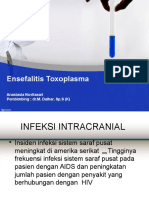 Encephalitis Toksoplasma