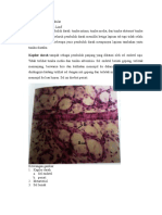 Histologi Jantung