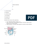 Topografi Abdomen