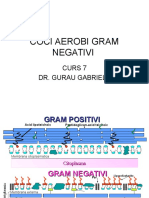 Curs 7 Coci Aerobi Gram Negativi