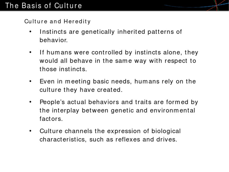 Culture 2 pdf