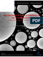 Microscopia Eletronica de Varredura