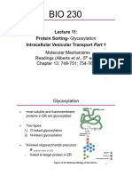 Protein Sorting-Glycosylation Intracellular Vesicular Transport
