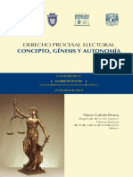 Derecho Procesal Electoral