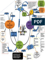 Mapa Mental Direcc. Portaf - Progra.proyect Con Cambios