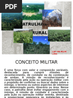 PATRULHA RURAL - Cap Mota Lima.ppt