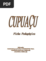 Ficha Pedagógica - Cupuaçu - Pa