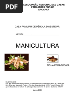 Ficha Pedagógica - Manicultura - Pa