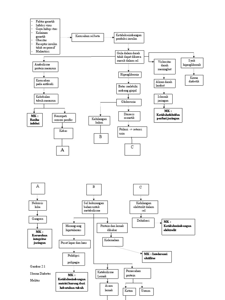 Pathway Diabetes | PDF