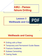 Wellheads and Casing