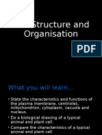 Cell Structure and Organisation