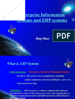 ERP Systems