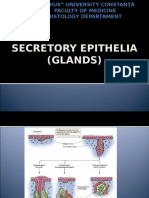 LP4. Secretory Epithelia (Glands)