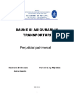 Referat Daune Si Asigurari in Transporturi