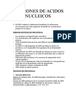 Funciones de Acidos Nucleicos