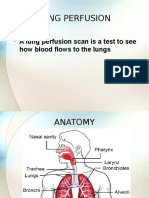 Lungs Presentation Finaldsfds