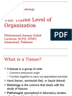 Tissue Level of Organization