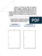 Organizador Grafico Comprensión Lectora