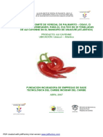 Cultivo de aji cayenne en Usiacurí