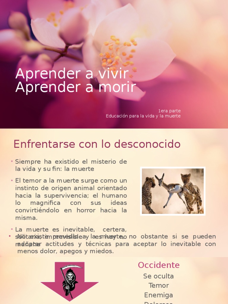 Educacion para La Vida y La Muerte PDF Muerte Actitud (psicología)