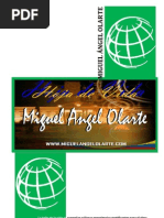 MIGUELANGEOLARTE.COM